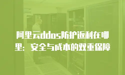 阿里云ddos防护返利在哪里：安全与成本的双重保障