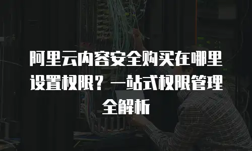 阿里云内容安全购买在哪里设置权限？一站式权限管理全解析