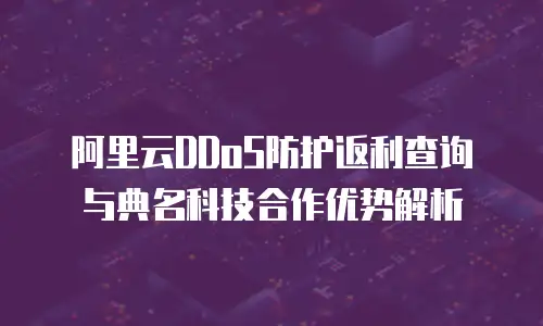 阿里云DDoS防护返利查询与典名科技合作优势解析