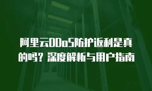 阿里云DDoS防护返利是真的吗？深度解析与用户指南