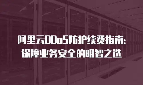阿里云DDoS防护续费指南：保障业务安全的明智之选