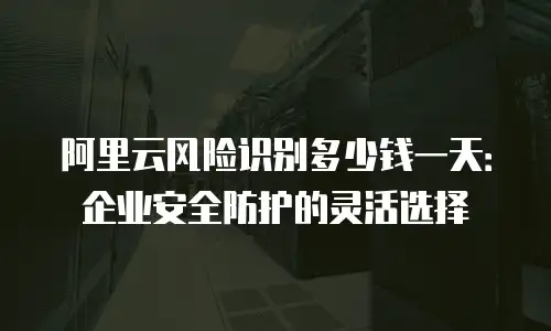阿里云风险识别多少钱一天：企业安全防护的灵活选择