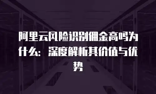 阿里云风险识别佣金高吗为什么：深度解析其价值与优势