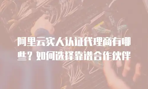 阿里云实人认证代理商有哪些？如何选择靠谱合作伙伴