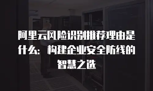 阿里云风险识别推荐理由是什么：构建企业安全防线的智慧之选