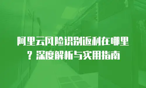 阿里云风险识别返利在哪里？深度解析与实用指南