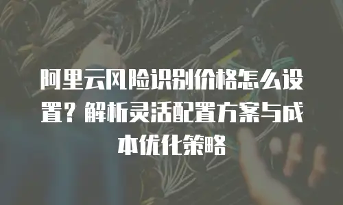 阿里云风险识别价格怎么设置？解析灵活配置方案与成本优化策略