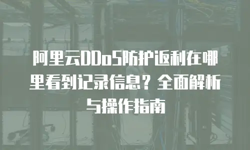 阿里云DDoS防护返利在哪里看到记录信息？全面解析与操作指南