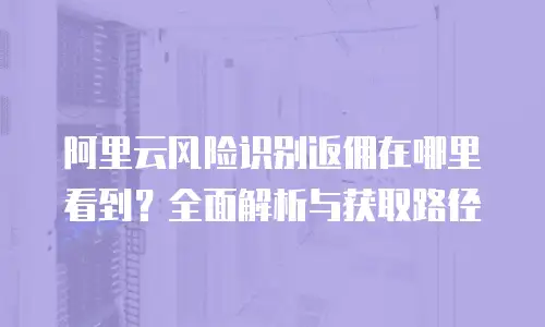 阿里云风险识别返佣在哪里看到？全面解析与获取路径