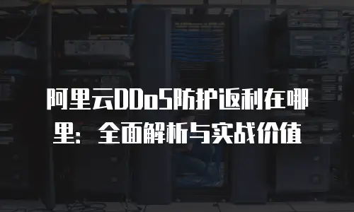 阿里云DDoS防护返利在哪里：全面解析与实战价值