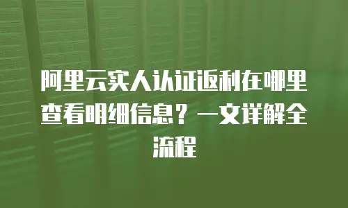 阿里云实人认证返利在哪里查看明细信息？一文详解全流程