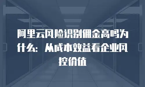 阿里云风险识别佣金高吗为什么：从成本效益看企业风控价值