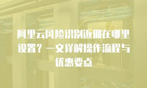 阿里云风险识别返佣在哪里设置？一文详解操作流程与优惠要点