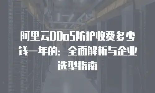 阿里云DDoS防护收费多少钱一年的：全面解析与企业选型指南