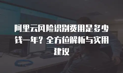 阿里云风险识别费用是多少钱一年？全方位解析与实用建议
