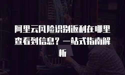 阿里云风险识别返利在哪里查看到信息？一站式指南解析
