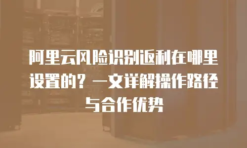 阿里云风险识别返利在哪里设置的？一文详解操作路径与合作优势