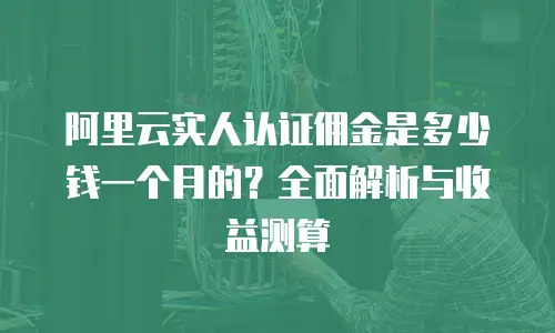 阿里云实人认证佣金是多少钱一个月的？全面解析与收益测算