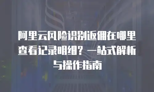 阿里云风险识别返佣在哪里查看记录明细？一站式解析与操作指南