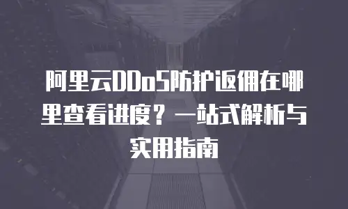 阿里云DDoS防护返佣在哪里查看进度？一站式解析与实用指南