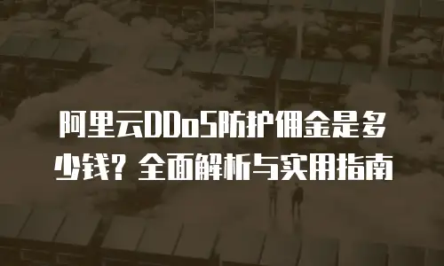 阿里云DDoS防护佣金是多少钱？全面解析与实用指南