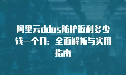 阿里云ddos防护返利多少钱一个月：全面解析与实用指南