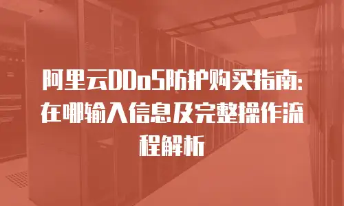 阿里云DDoS防护购买指南：在哪输入信息及完整操作流程解析