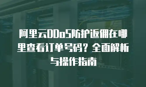 阿里云DDoS防护返佣在哪里查看订单号码？全面解析与操作指南