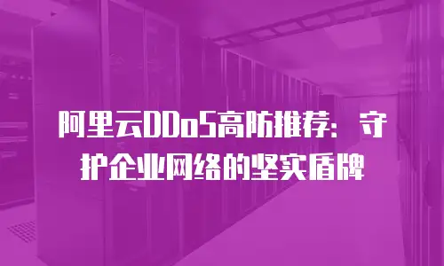 阿里云DDoS高防推荐：守护企业网络的坚实盾牌