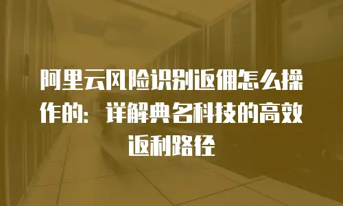 阿里云风险识别返佣怎么操作的：详解典名科技的高效返利路径