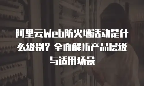 阿里云Web防火墙活动是什么级别？全面解析产品层级与适用场景