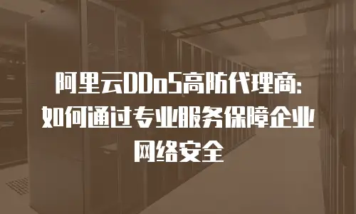 阿里云DDoS高防代理商：如何通过专业服务保障企业网络安全