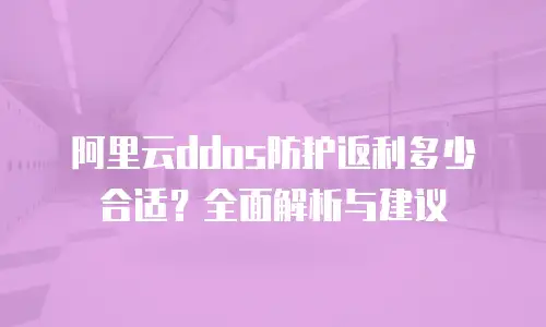 阿里云ddos防护返利多少合适？全面解析与建议