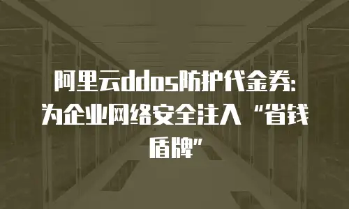 阿里云ddos防护代金券：为企业网络安全注入“省钱盾牌”