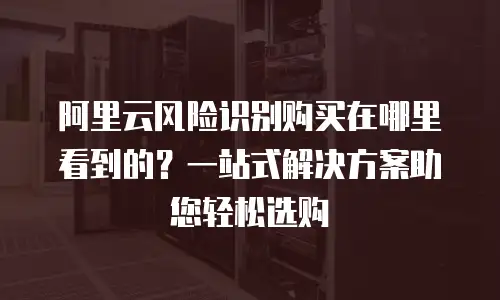 阿里云风险识别购买在哪里看到的？一站式解决方案助您轻松选购