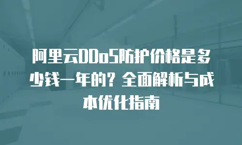 阿里云DDoS防护价格是多少钱一年的？全面解析与成本优化指南