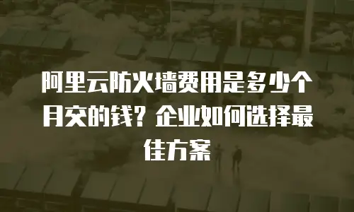 阿里云防火墙费用是多少个月交的钱？企业如何选择最佳方案