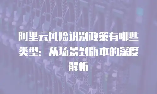 阿里云风险识别政策有哪些类型：从场景到版本的深度解析