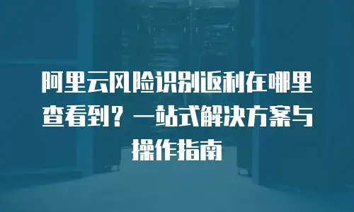 阿里云风险识别返利在哪里查看到？一站式解决方案与操作指南
