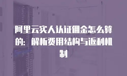 阿里云实人认证佣金怎么算的：解析费用结构与返利机制