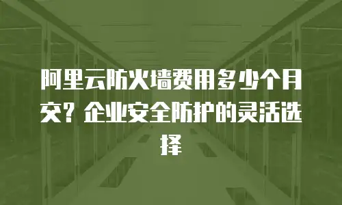 阿里云防火墙费用多少个月交？企业安全防护的灵活选择