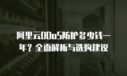 阿里云DDoS防护多少钱一年？全面解析与选购建议