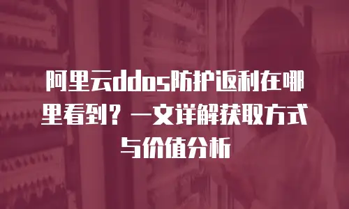 阿里云ddos防护返利在哪里看到？一文详解获取方式与价值分析