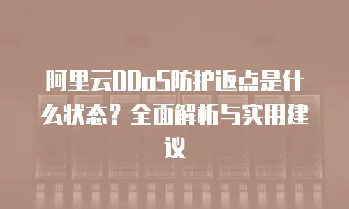 阿里云DDoS防护返点是什么状态？全面解析与实用建议