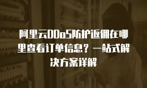 阿里云DDoS防护返佣在哪里查看订单信息？一站式解决方案详解