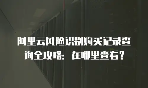 阿里云风险识别购买记录查询全攻略：在哪里查看？