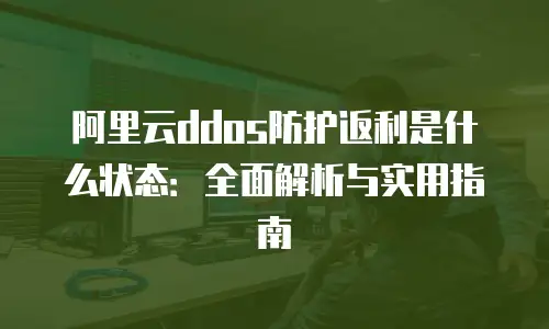 阿里云ddos防护返利是什么状态：全面解析与实用指南