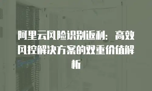 阿里云风险识别返利：高效风控解决方案的双重价值解析