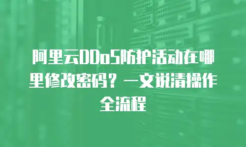 阿里云DDoS防护活动在哪里修改密码？一文说清操作全流程