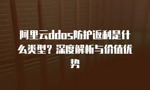 阿里云ddos防护返利是什么类型？深度解析与价值优势